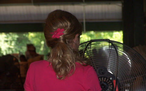 Flowers in Her Hair 100_7582 copy